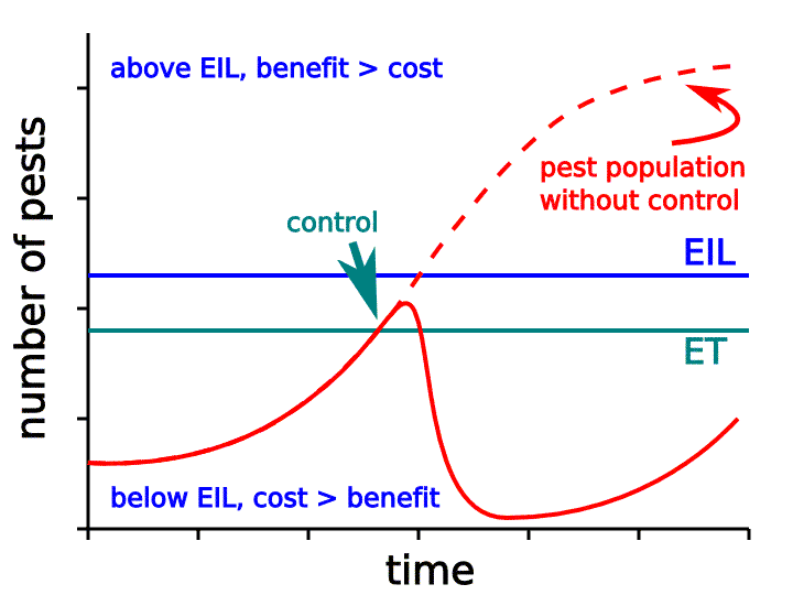 Economic Loss Graph