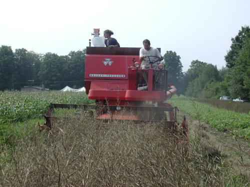 Field combine harvesting dry seed