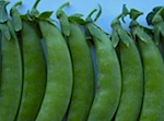 snap peas
