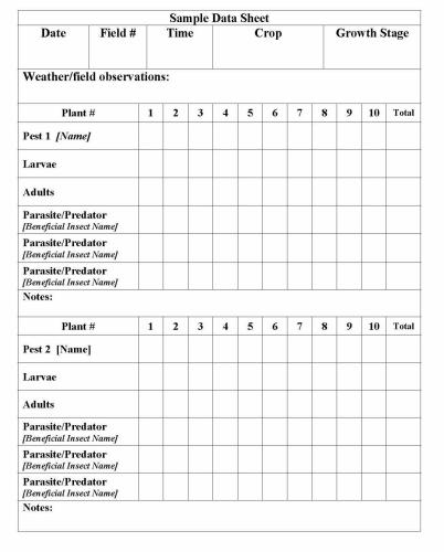 Cost Sheet Specimen