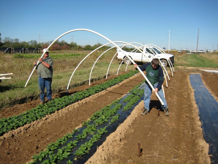 Low Cost High Tunnel Construction