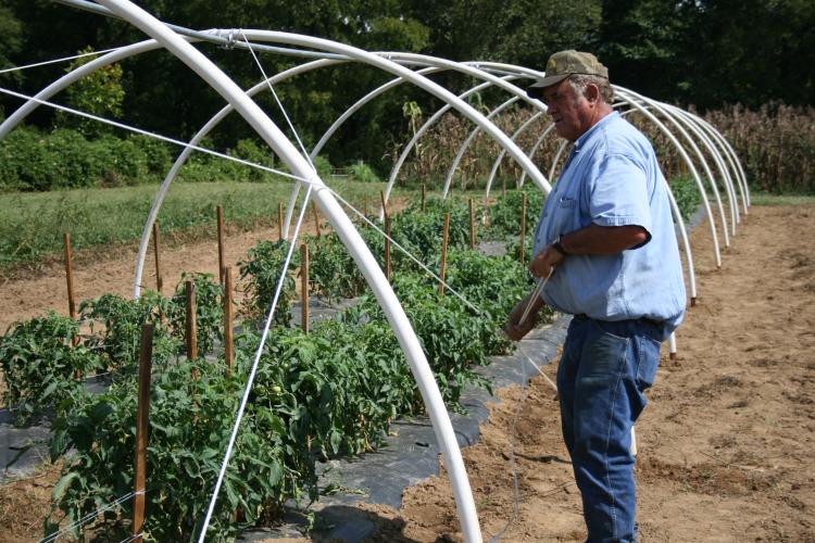 Low Cost High Tunnel Construction