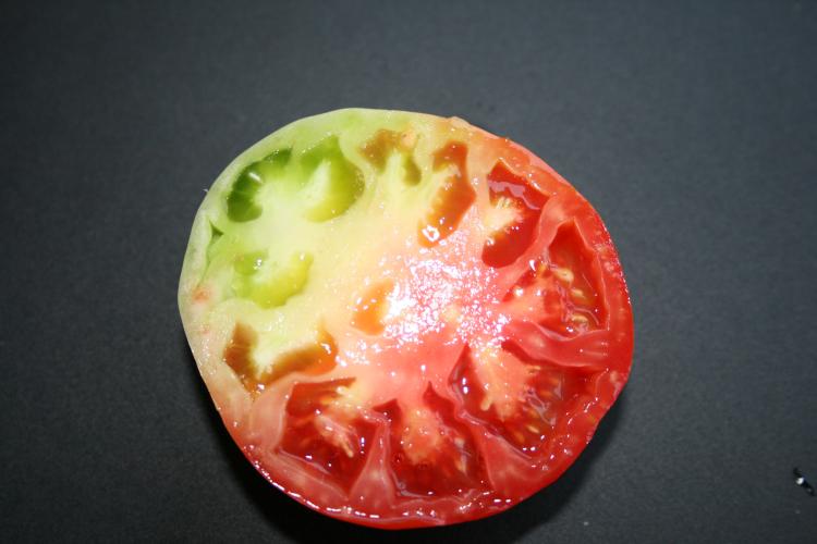 Resultado de la imagen para Blotchy maduring tomato