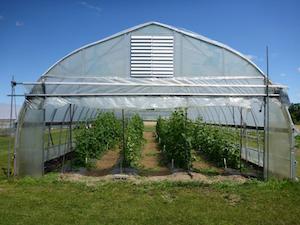 Hoop house