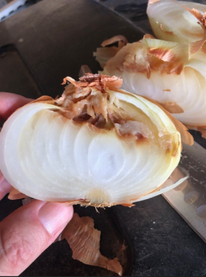 onion inoculated with Burkholderia