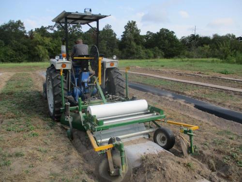 Laying down plastic mulch