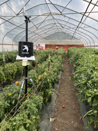 Greenhouse and trap