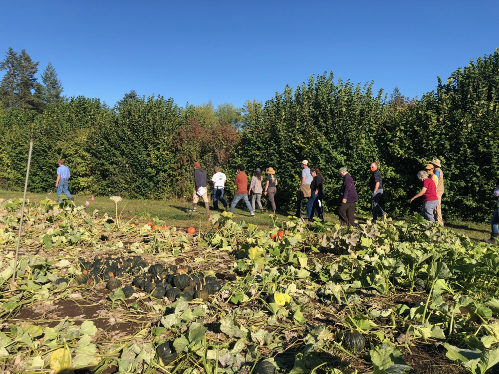 NOVIC field day Oregon 2021