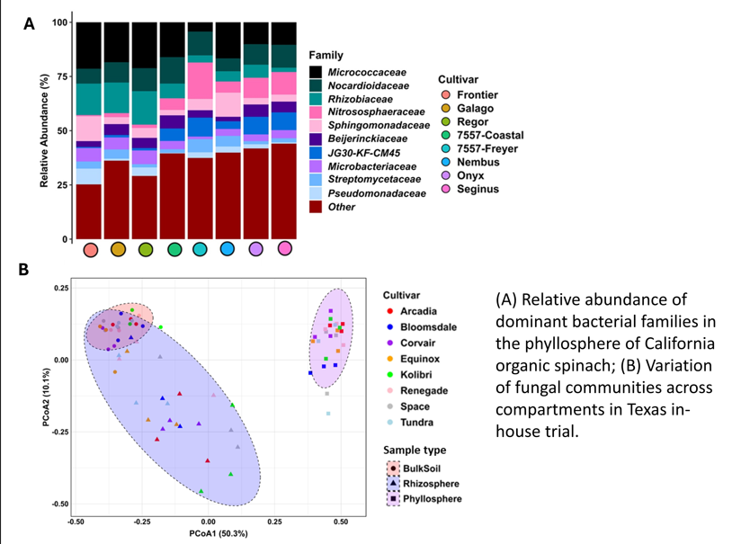 Relative abundance of dominant bacterial families in CA and variation of fungal communities in Texas