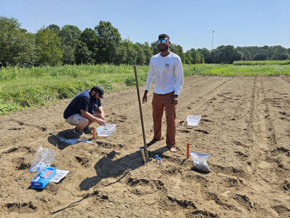 Soil Sampling in Tifton