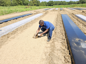 Soil temperature sensor installation