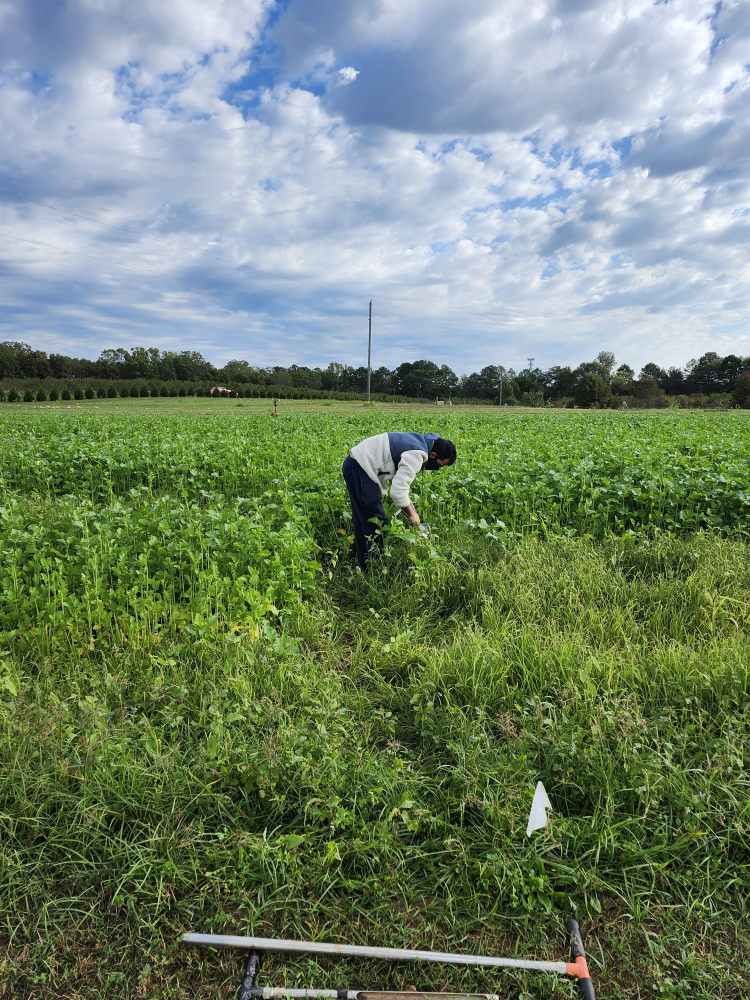 soil sampling