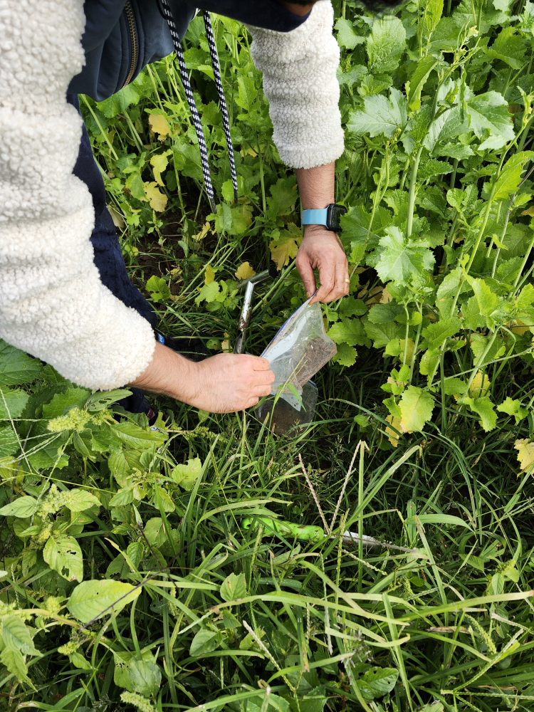 soil sampling