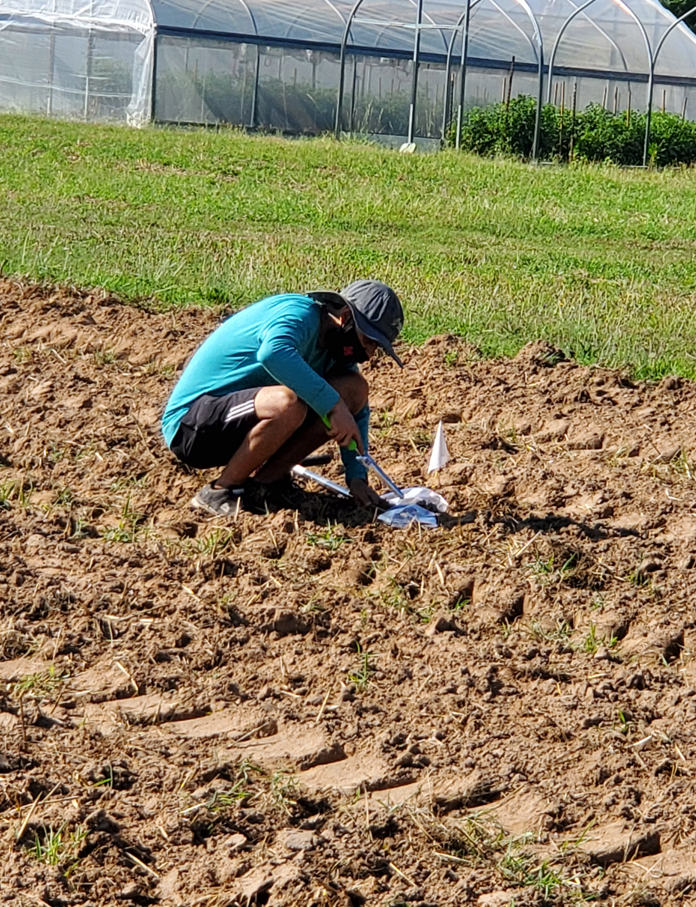 soil sample collection